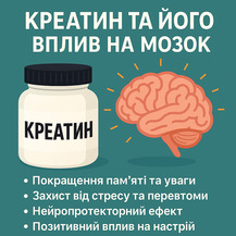 Влияние креатина на мозг