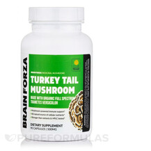Гриби Хвіст Індички Organic Turkey Tail Mushroom Brain Гриби Хвіст Індички Organic Turkey Tail Mushroom Brain