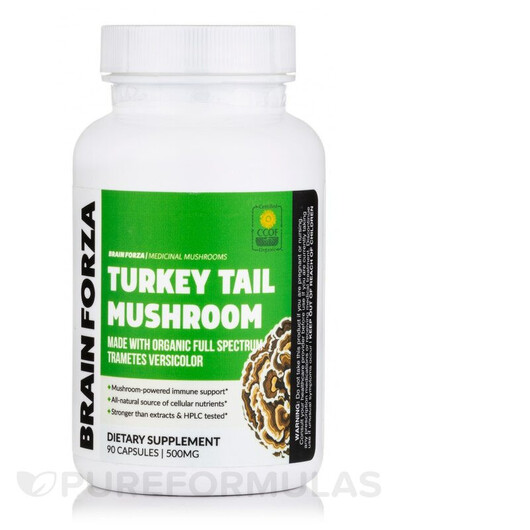 Основне фото товару Organic Turkey Tail Mushroom Основне фото товару Organic Turkey Tail Mushroom, Гриби Хвіст Індички, 90 капсул