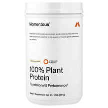Протеїн 100% Plant Protein Vanilla Spice Momentous 671 г