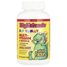 Big Friends Chewable Multi-Vitamin & Minerals Jungle Berry