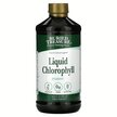 Фото товару Liquid Chlorophyll Spearmint Фото товару Buried Treasure, Liquid Chlorophyll Spearmint, Хлорофіл, 480 мл
