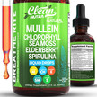 Фото товару Mullein Drops for Lungs Liquid Chlorophyll Mullein, Лист коров 