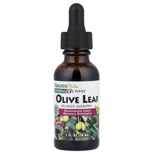 Herbal Actives Olive Leaf Alcohol Free Листья оливы 30 мл Herbal Actives Olive Leaf Alcohol Free Листья оливы 30 мл
