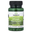 Фото товара Swanson, Грибы Чага, Full Spectrum Chaga Mushroom 400 mg, 60 капс