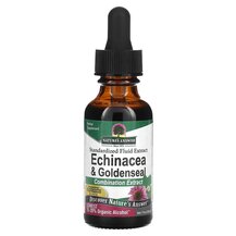 Echinacea & Goldenseal Standardized Fluid Extract Эхинацея Echinacea & Goldenseal Standardized Fluid Extract Эхинацея