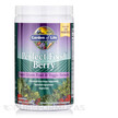 Фото товара Garden of Life, Супергринс, Perfect Food Berry Powder, 240 г