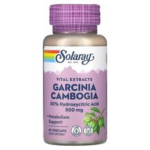 Garcinia Cambogia 500 mg Гарциния камбоджийская 500 мг