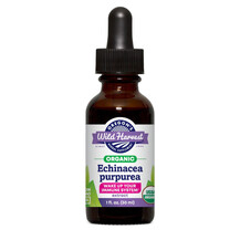 Organic Echinacea Purpurea Extract Эхинацея Oregon's Wild