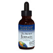 Фото товара Planetary Herbals, Эхинацея, Full Spectrum Echinacea Liquid, 59.1