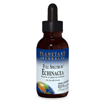 Full Spectrum Echinacea Liquid Эхинацея Planetary Herbals