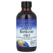 Фото товара Поддержка органов дыхания, Loquat Respiratory Syrup, 118.28 мл