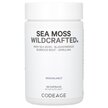 Фото товару CodeAge, Sea Moss Wildcrafted, Ірландський морський мох, 120 капс