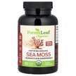 Фото товару Certified Organic Sea Moss + Burdock, Ірландський морський мох, 9