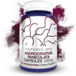 Фото товару Andrographis paniculata Capsules | 50% Andrographolides, Андрогра