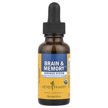 Підтримка мозку Brain & Memory Nervous System Herb Pharm Підтримка мозку Brain & Memory Nervous System Herb Pharm