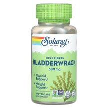 True Herbs Bladderwrack 580 mg Фукус пузырчатый Solaray