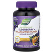 Фото товару Sambucus Elderberry + Wildflower Honey Immune, Чорна Бузина, 50 т