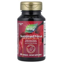 Підтримка мозку Brain Health Sustained Focus Nature's Way