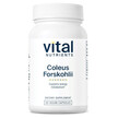 Фото товару Coleus Forskolii 10% 90 mg Фото товару Vital Nutrients, Coleus Forskolii 10% 90 mg, Форсколін, 60 капсул