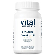 Coleus Forskolii 10% 90 mg Форсколин Vital Nutrients