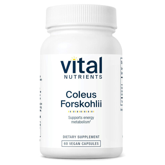 Основне фото товару Coleus Forskolii 10% 90 mg Основне фото товару Vital Nutrients, Coleus Forskolii 10% 90 mg, Форсколін, 60 капсул
