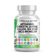 Фото товару Artemisinin Quercetin Zinc Mullein, Артемізинін, 60 капсул