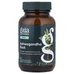 Фото товару Ashwagandha Root Фото товару Gaia Herbs, Ashwagandha Root, Ашвагандха, 60 капсул