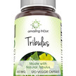 Фото товару Amazing Nutrition, Amazing India Tribulus, Трибулус, 120 капсул