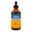 Фото товару Jamaican Dogwood Фото товару Herb Pharm, Jamaican Dogwood, Трави, 120 мл