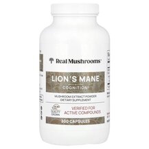 Обзор на Lion's Mane Mushroom Extract Powder Грибы Обзор на Lion's Mane Mushroom Extract Powder Грибы