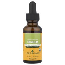 Трави Ginger Herb Pharm 30 мл