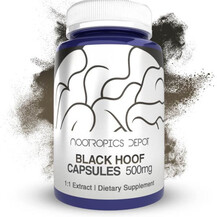 Black Hoof Mushroom Capsules Грибы Nootropics Depot