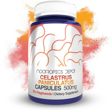 Підтримка мозку Celastrus paniculatus Extract Capsules