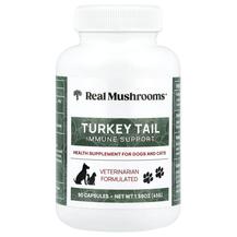Гриби Хвіст Індички Turkey Tail Support for Your Pet Real