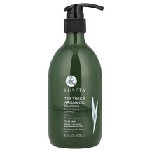 Tea Tree & Argan Oil Shampoo For Damaged & Oily Hair