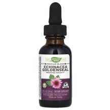 Echinacea Goldenseal Эхинацея и Желтокорень Nature's Way