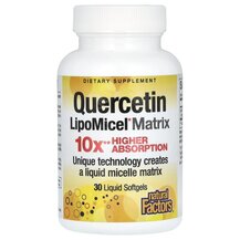 Quercetin LipoMicel Липосомальный Кверцетин Natural Quercetin LipoMicel Липосомальный Кверцетин Natural