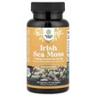 Фото товару Irish Sea Moss 2100 mg Фото товару Irish Sea Moss 2100 mg, Ірландський морський мох, 30 капсул
