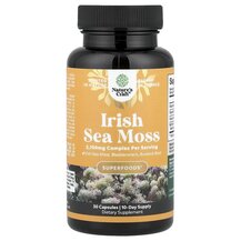 Irish Sea Moss 2100 mg Ирландский морской мох Nature's Irish Sea Moss 2100 mg Ирландский морской мох Nature's
