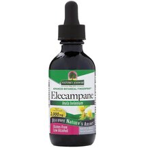 Elecampane 2000 mg Девясил 2000 мг Nature's Answer 60 мл