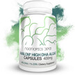 Фото товару Nootropics Depot, AvailOM DHA Algae Capsules, Водорості, 60 Capsu