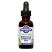 Фото товара Эхинацея, Organic Echinacea Goldenseal Plus Extract, 30 мл