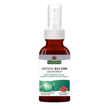 Methyl B12 Метилкобаламин B12 Nature's Answer 30 мл