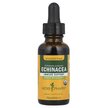 Фото товара Herb Pharm, Эхинацея, Echinacea Alcohol-Free, 30 мл