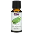 Фото товару NOW Foods, Pure Essential Oil Eucalyptus Radiata, Ефірна олія, 30