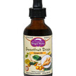 Фото товару Sweetfruit Drops Ginger Oil Фото товару Dragon Herbs, Sweetfruit Drops Ginger Oil, Корінь Імбиру, 60 мл