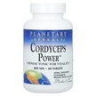 Фото товару Cordyceps Power CS-4 Chinese Tonic for Vitality, Гриби Кордицепс,