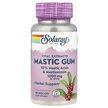 Фото товару Mastic Gum Extract 500 mg Фото товару Solaray, Mastic Gum Extract 500 mg, Мастикова Смола 500 мг, 45 ка