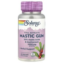 Mastic Gum Extract 500 mg Мастиковая Смола 500 мг Solaray